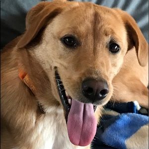 Meet your Posher, Angie